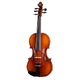 Thomann Europe 5-String Violin B-Stock May have slight traces of use