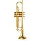 Adams A5 Brass 045 Selected  B-Stock May have slight traces of use