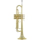 New in Bb Trumpets