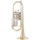 New in Rotary Valve Bb Trumpets