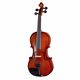 Stentor SR1542 Violin Graduate B-Stock May have slight traces of use