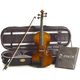 Stentor SR1542 Violin Graduate B-Stock Posibl. con leves signos de uso