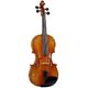 New in Lefthanded Violins