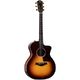 Taylor 214ce-SB DLX  B-Stock May have slight traces of use