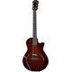 Taylor T5z Classic DLX  B-Stock Kan lichte gebruikssporen bevatten