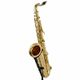 Thomann TTS-580 GL Tenor Sax B-Stock May have slight traces of use