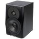 Dynaudio LYD-5 Black B-Stock May have slight traces of use