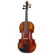 Novedades en Violines y violas acústicas