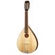 Thomann Artist Mandola WLN B-Stock May have slight traces of use