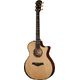 Taylor 914ce V-Class Bracing B-Stock May have slight traces of use
