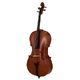 New in Master Class String Instruments