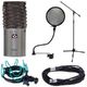 Aston Microphones Origin Stand Bundle