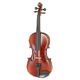 Gewa Allegro Violin 4/4 SC  B-Stock