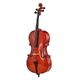 Roth & Junius RJC Cello Set 1/2 B-Stock Posibl. con leves signos de uso