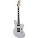 Fender Jim Root Jazzmaster Ar B-Stock May have slight traces of use
