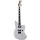 Fender Jim Root Jazzmaster Ar B-Stock Ggf. mit leichten Gebrauchsspuren