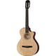 Taylor 312ce-N Nylon B-Stock Ggf. mit leichten Gebrauchsspuren