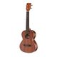 Kala KA-T Tenor Ukulele B-Stock Ggf. mit leichten Gebrauchsspuren