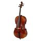 Gewa Allegro VC1 Cello Set  B-Stock Enyhe kopásnyomok előfordulhatnak