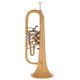 Miraphone 24R 1100 A100 G010 Flu B-Stock May have slight traces of use