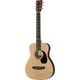 Martin Guitars LX1RE B-Stock Ggf. mit leichten Gebrauchsspuren