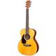 Martin Guitars 000JR-10E Shawn Mendes B-Stock May have slight traces of use