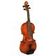 Hidersine Vivente Academy Violin B-Stock Hhv. med lette brugsspor