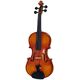 Hidersine Vivente Academy Violin B-Stock May have slight traces of use