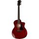 Taylor 224ce DLX LTD Trans Re B-Stock May have slight traces of use