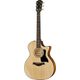 Taylor 70th Anniversary 314Ce B-Stock Posibl. con leves signos de uso