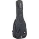 Ritter Bern Acoustic Bass ANT B-Stock Posibl. con leves signos de uso
