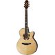 Takamine TSF48C w/Softcase B-Stock Ggf. mit leichten Gebrauchsspuren