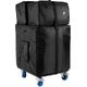 LD Systems DAVE 15 G4X BAG SET B-Stock Ggf. mit leichten Gebrauchsspuren