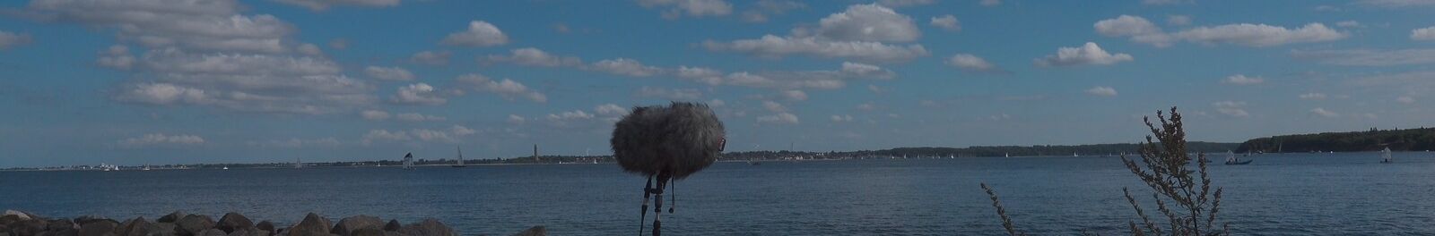 scene-teaser-backdrop