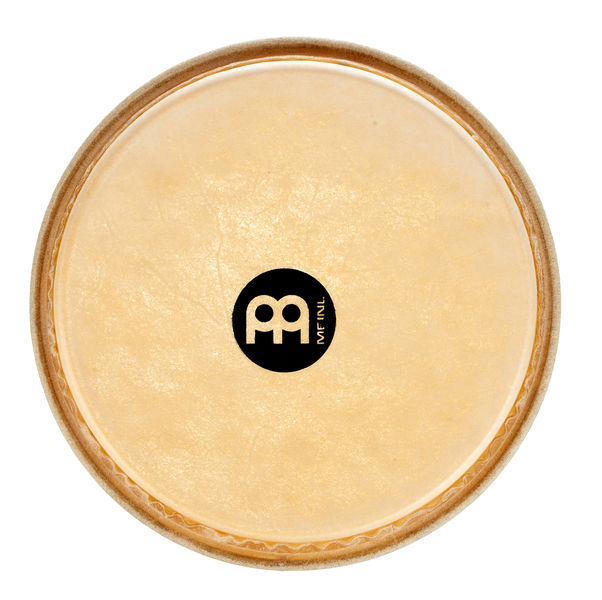 Meinl Head-04