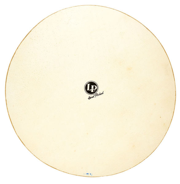 LP 221A 19" Quinto Head