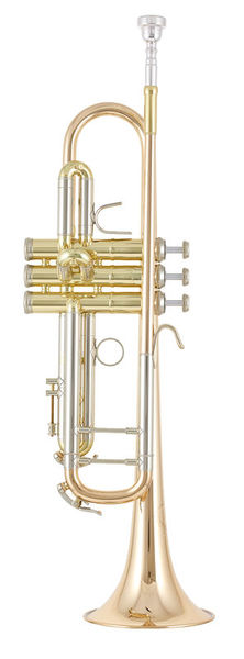 B&S 3137 G-L Challenger I GM