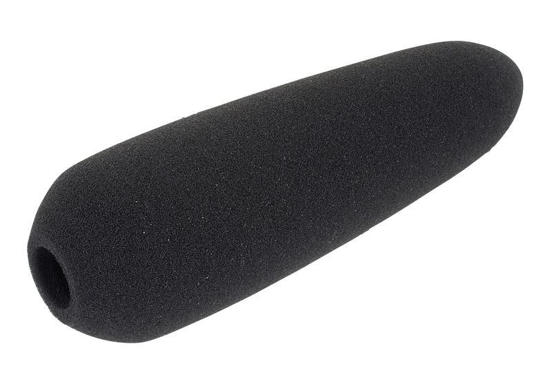 Sennheiser MZW66