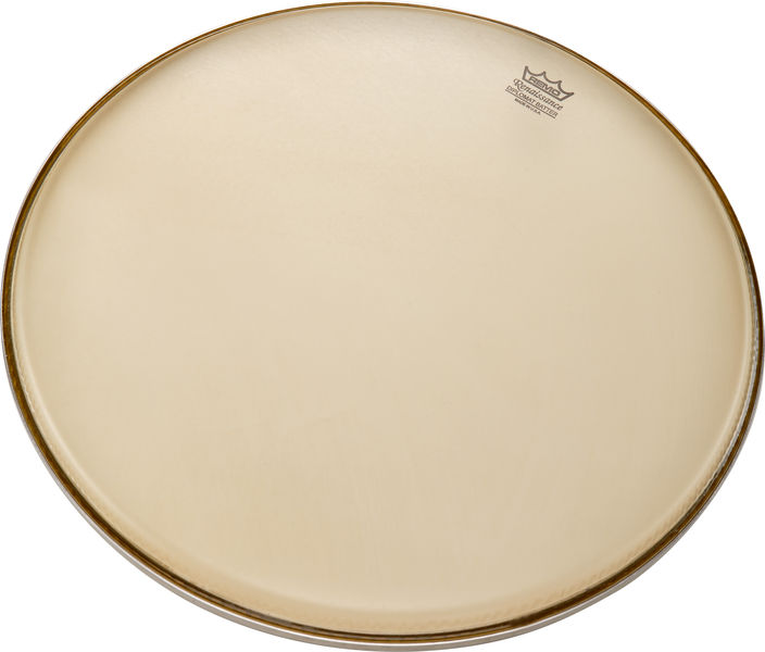 Remo 15" Renaissance Diplomat