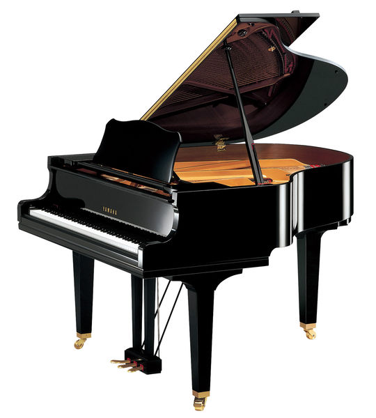 Yamaha Gc 1 M Pe Grand Piano Thomann Uk