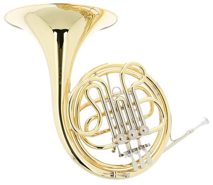 Hans Hoyer 700L