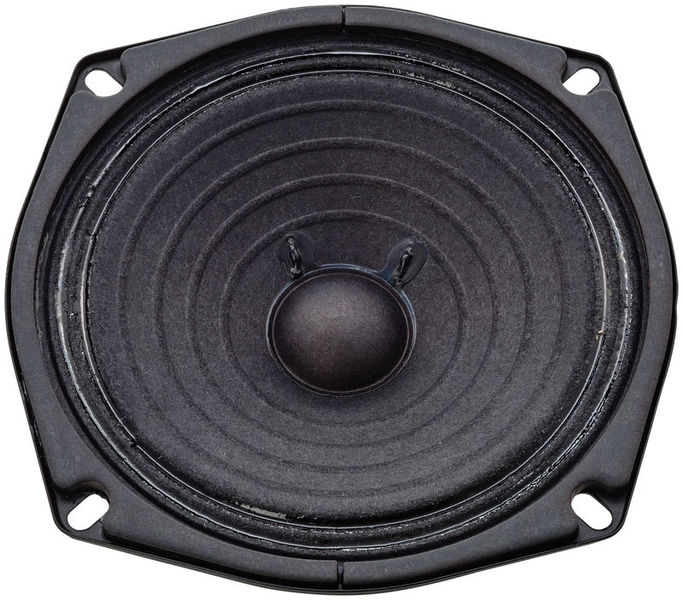 Roland Replacement Speaker Micro Cube