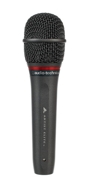 Audio-Technica AE 6100