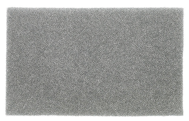 Shure Internal FoamShield SH55 Back
