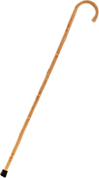 Schüssele Spazierstock-Alphorn