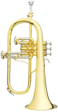 B&S 3145G-L Challenger I