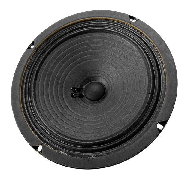 4 ohm guitar speaker