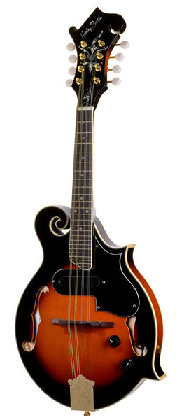Harley Benton HBMA-100E- VS