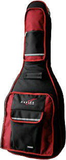 Hanika Gigbag