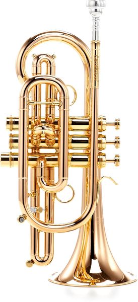 Carol Brass CCR-8880-GSS-Bb-L